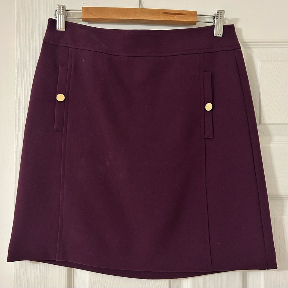 Never worn! Plum Skirt